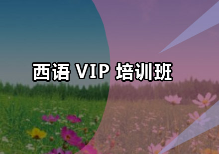 广州西语VIP培训班