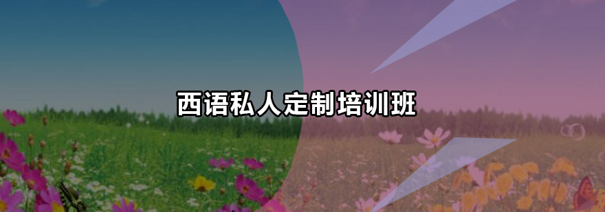西语定制课程教学场景