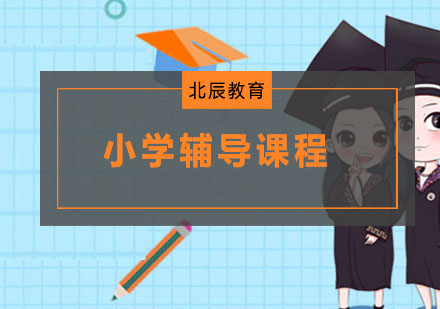 金华小学一对四课程