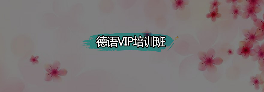 广州德语VIP培训班