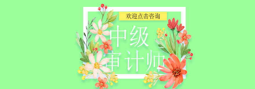 中级审计师课程培训