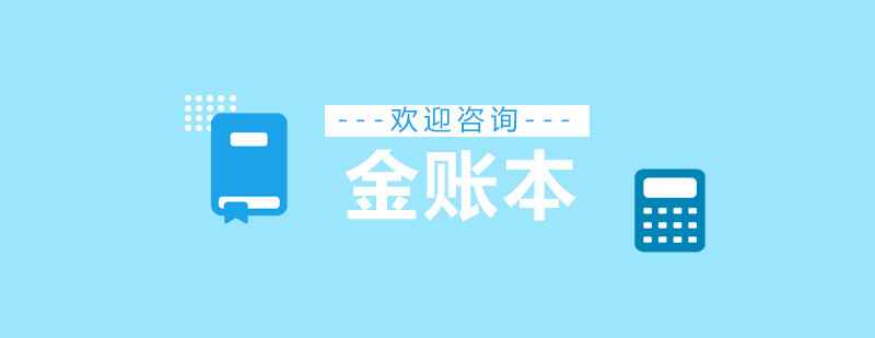 金账本会计实训
