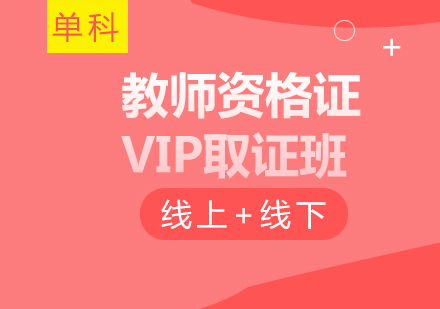 广州教师资格VIP*班单科