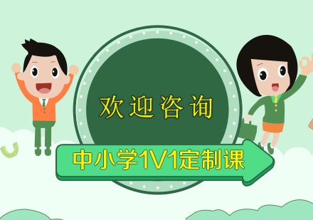 中小学1V1定制课程