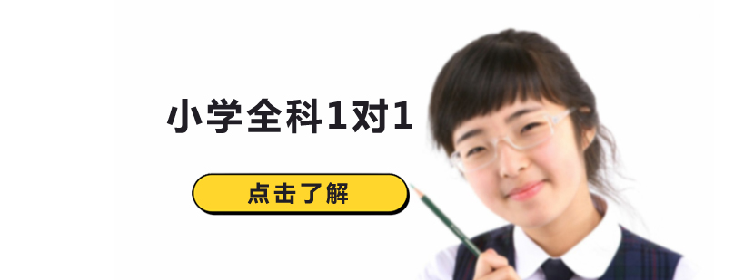 沈阳小学全科1对1培训班