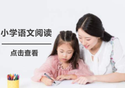 沈阳小学语文阅读培训班