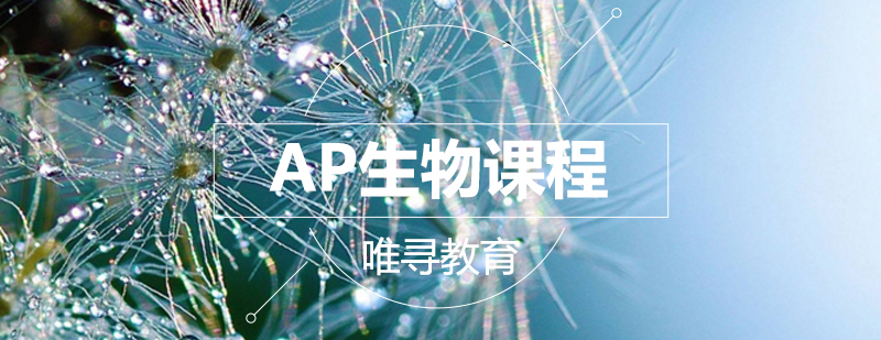 AP生物实验教学