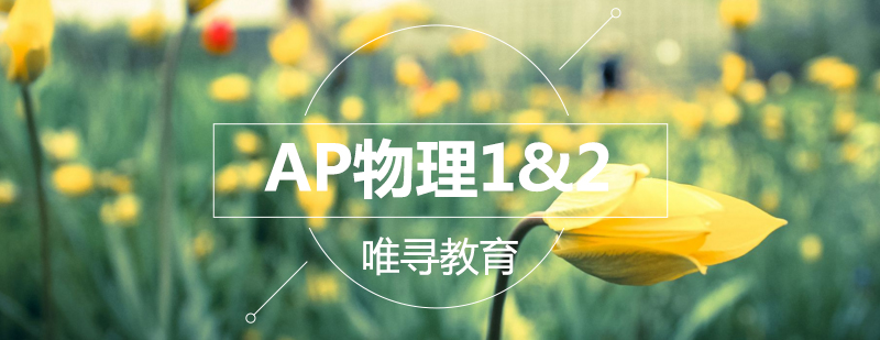 AP物理实验教学场景