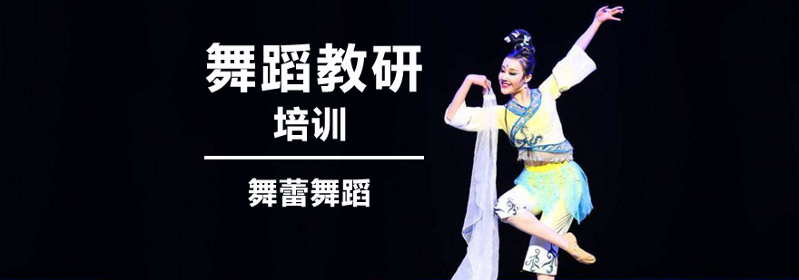 舞蹈教研课实景