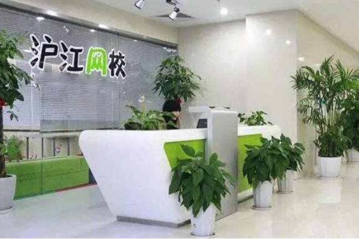 沈阳沪江中小学辅导