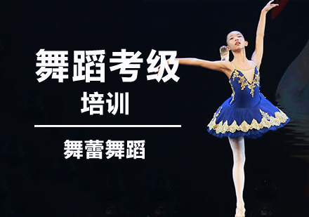 北京舞蹈等级考试特训课程深度解析