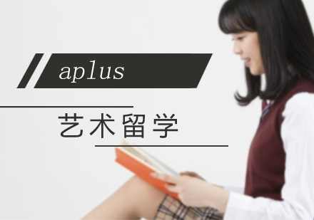 艺术名校进阶之路：北京aplus学员成功案例深度解析