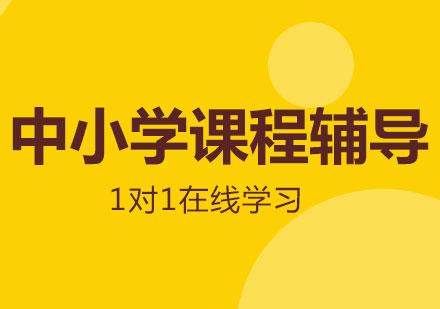 上海中小學(xué)1對1定制課程·體驗(yàn)課