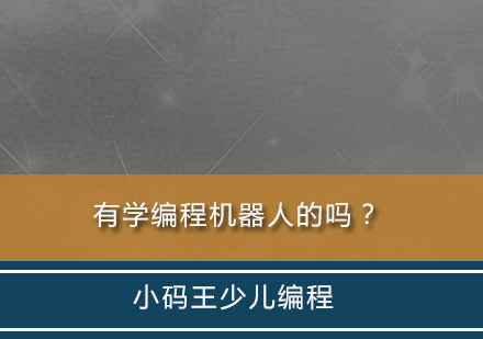 机器人编程教育深度解析与学习指南
