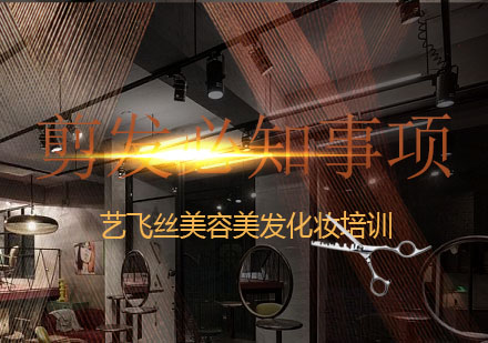 美发造型基础理论与实操指南