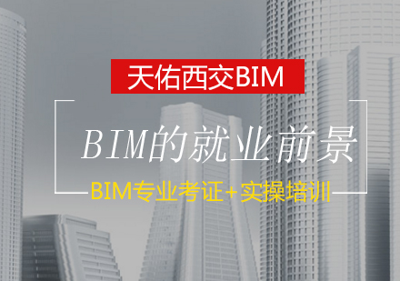 BIM工程师*前景怎么样？