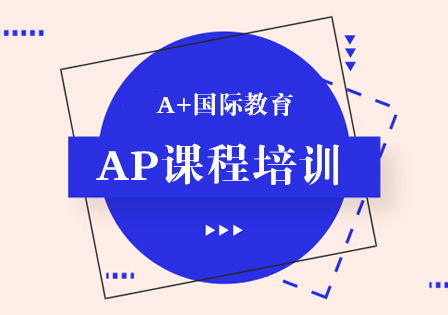 上海AP经济一对一辅导班