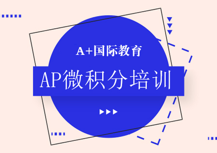 上海AP微积分一对一辅导