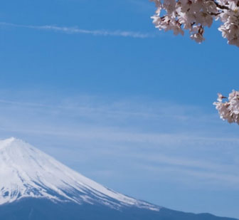 樱花季日语特训课程解析