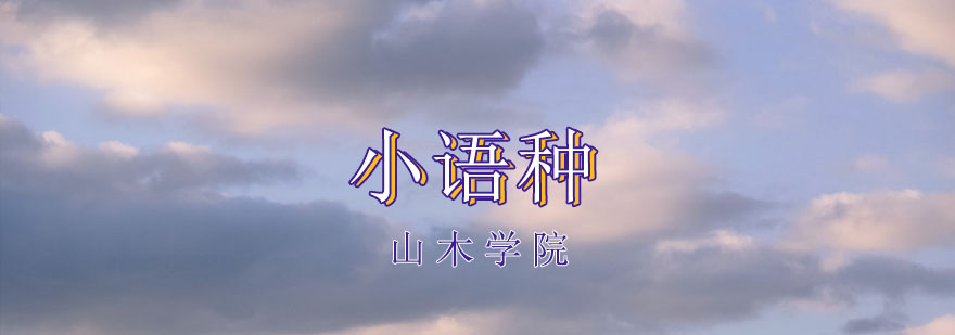 多语种课堂实景