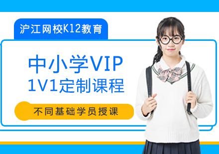 广州中小学VIP1V1定制课程