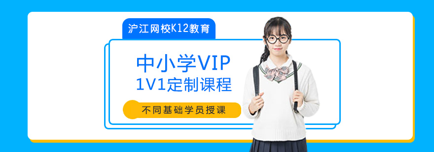 广州中小学VIP1V1定制课程