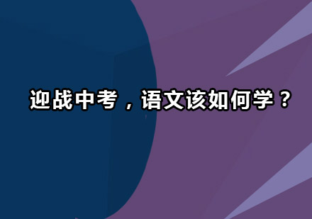 迎战中考，语文该如何学？