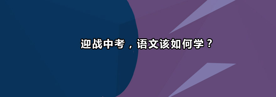 迎战中考语文该如何学