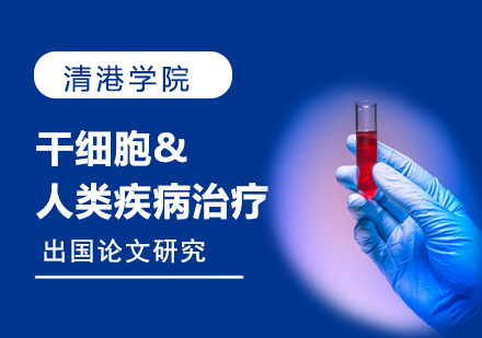 干细胞类名校博士论文辅导1对1