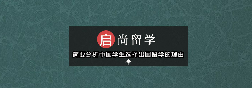 国际人才培养模式