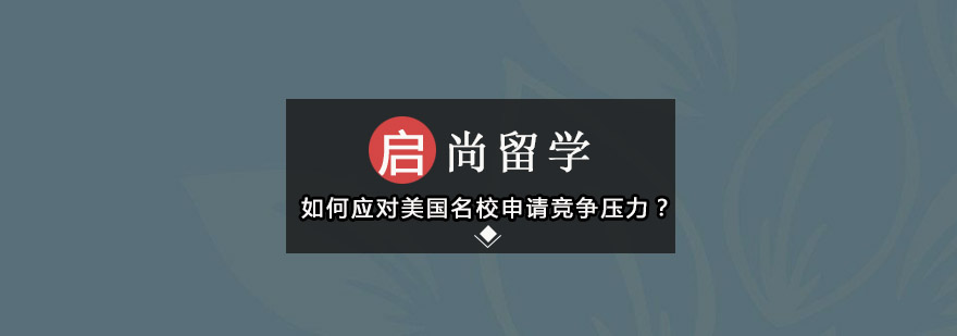 名校申请策略
