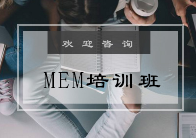 MEM培训班