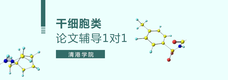 5G通信论文辅导专家团队