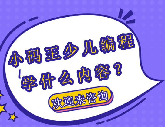 小赛码少儿编程学什么内容？