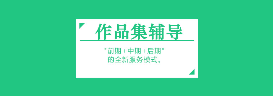 藝術(shù)作品集指導(dǎo)現(xiàn)場