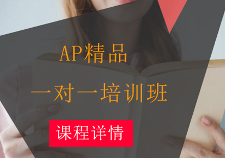 AP1对1培训班