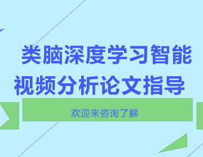 重庆类脑深度学习智能视频分析论文指导