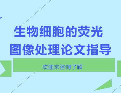 重庆生物细胞的荧光图像处理论文指导