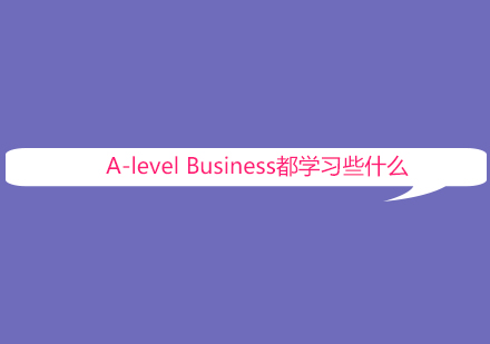 A-level商务课程深度解析与学习指南