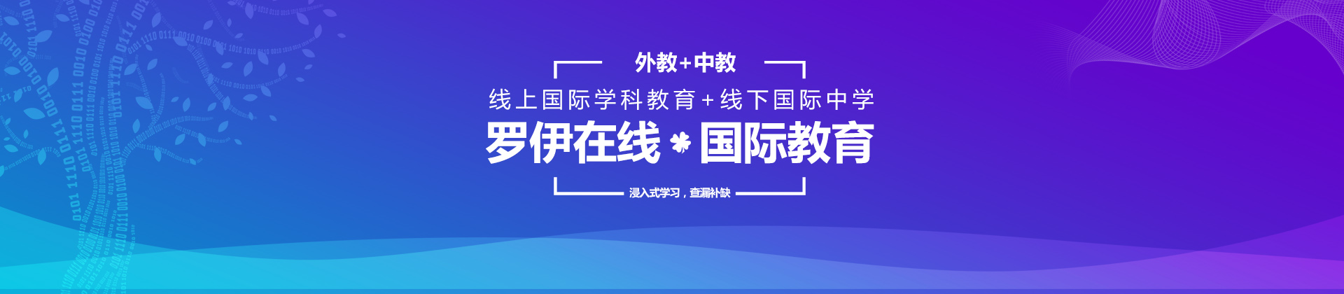 罗伊在线国际教育