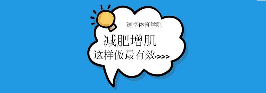 动态核心训练示意图