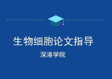 成都生物细胞的荧光图像处理论文指导