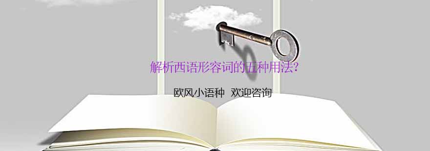 宁波欧风西语课程展示