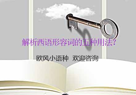 西班牙语形容词用法精讲课程全解析