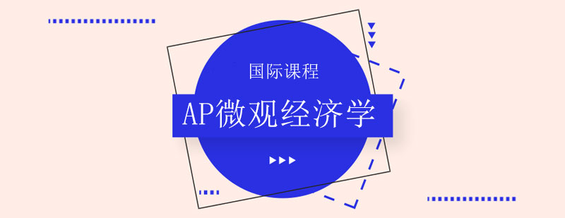 AP微觀經(jīng)濟學教學場景