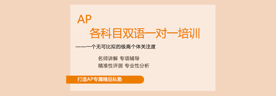 AP课程定制化教学实景