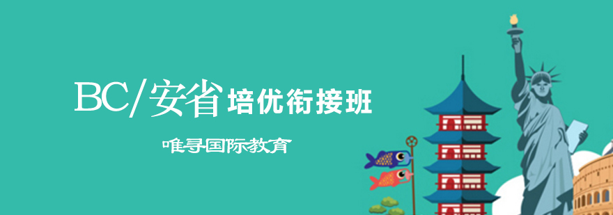 国际课程衔接培训