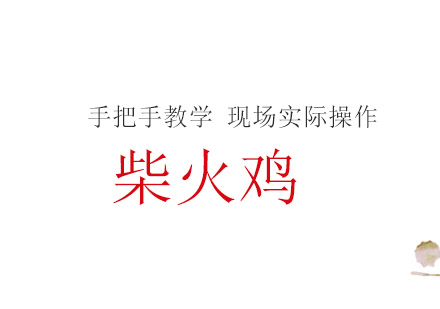 珠海柴火鸡培训班