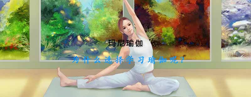 瑜伽体式对比教学