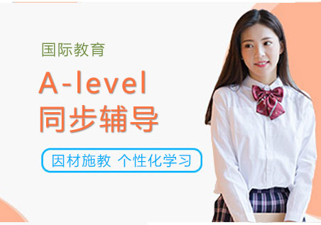 上海a-level同步輔導(dǎo)班